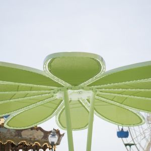 tensioning system of the petals